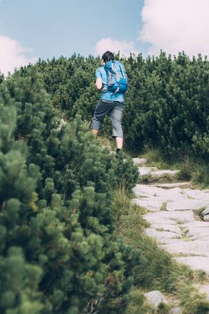 Teenager hiking among the dwarf pineの写真素材