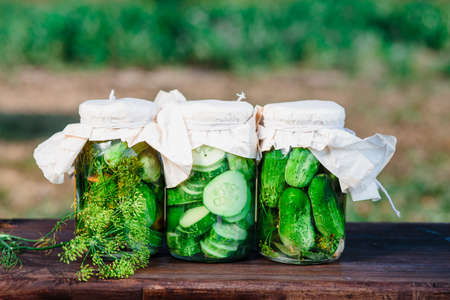 Pickled cucumbers made with home garden vegetables and herbsの写真素材