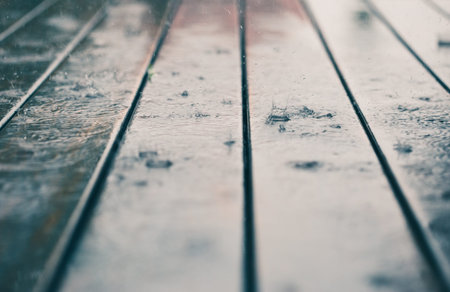 Closeup of wood planks while raining in perspective. Background of wooden natural surface and...
