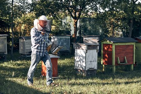 Beekeeper working in apiary. Real people, authentic situationsの写真素材