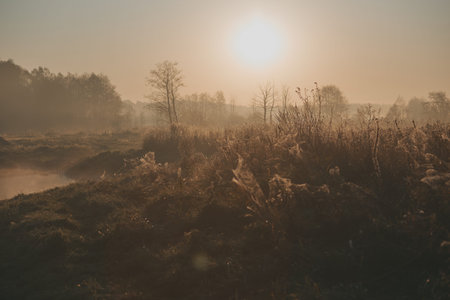 Sun rising above field and pond flooded with fog in the morningの写真素材