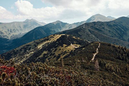 Tatra Mountains landscape. Scenic view of mountain rocky peaks, slopes, hills and valleys covered with grass, mugo pine and treesの写真素材