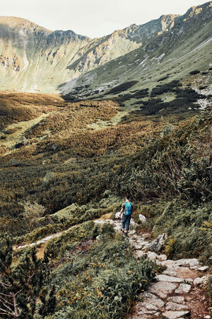 Young man with backpack hiking in a mountains, actively spending summer vacation. Rear view of...