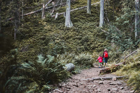 Family trip close to nature. Mother with little girl walking on path in forest, actively spending summer time togetherの写真素材