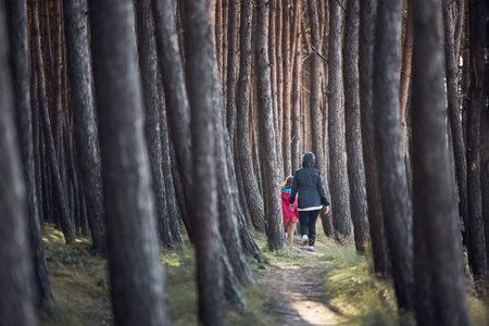 Summer vacation trip close to nature. Family walking in the forest. People actively spending leisure...