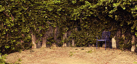 chair in the city parkの写真素材