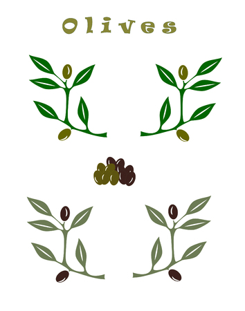set of olive branches and olives, vector, illustrationのイラスト素材