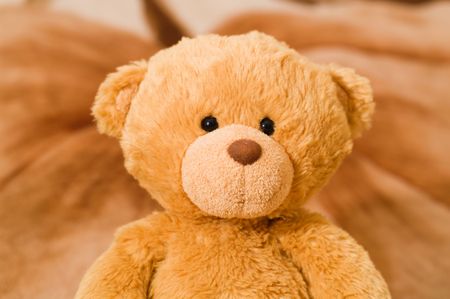 bear toy portrait the brown carpet backgroundの写真素材