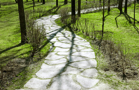 stone path in the park with tree shadows