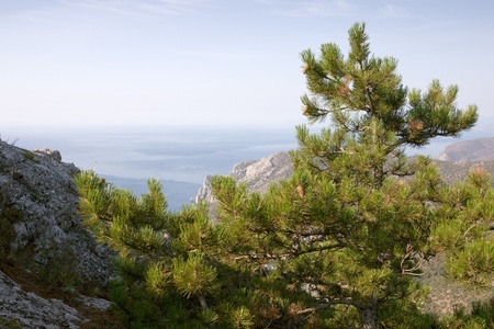 Crimea mountains and Black sea landscape, good sunny dayの写真素材