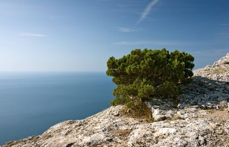 Crimea mountains and Black sea landscape, good sunny dayの写真素材