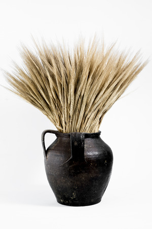 vase with ears of cornの写真素材