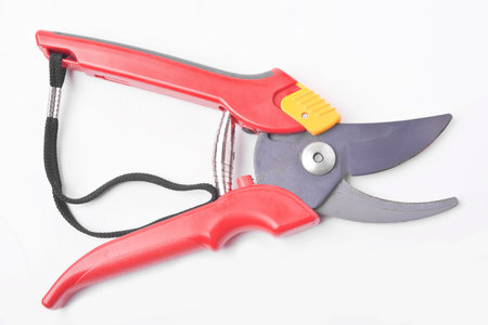 Gardening Shears