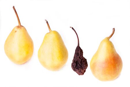 dried and fresh fruitの写真素材