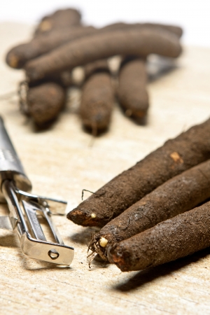 Fresh salsifyの写真素材