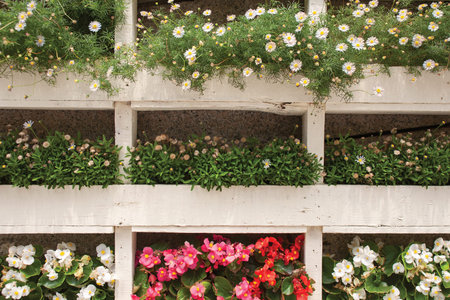 Colorful flowers in white wood pallet wall planterの写真素材