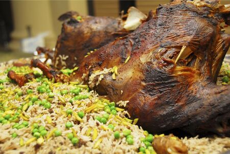 Lamb ouziの写真素材