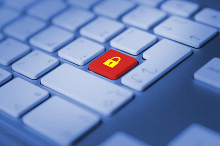 Online security concept