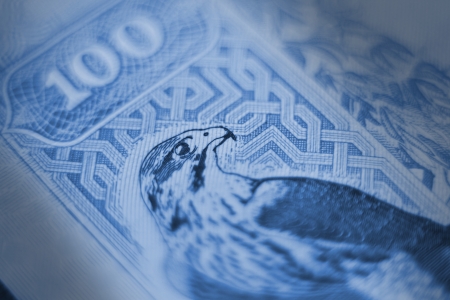 uae dirhams closeupの写真素材