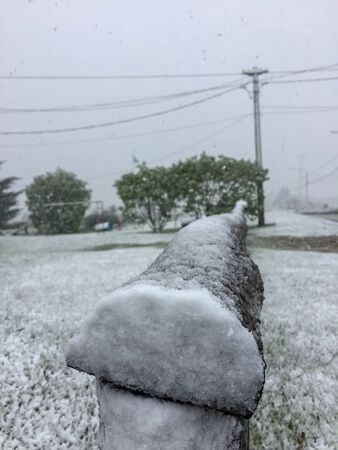 Snow sticking on wood. Everything will be white soon.の写真素材