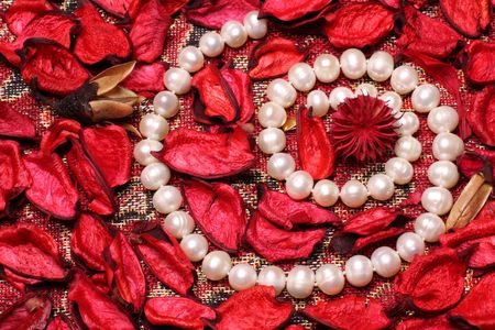 Pearl necklace in the middle of dry red petalsの写真素材