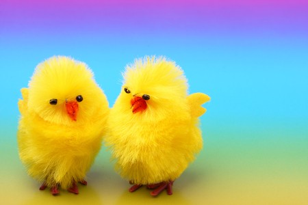 Cute easter chickens on colorful backgroundの写真素材