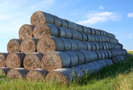 Pyramid of hay rolls on the fieldの写真素材