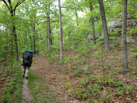 hikers on the trail in nature hiking backpackingの写真素材