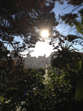san francisco skyline buildings cityの写真素材