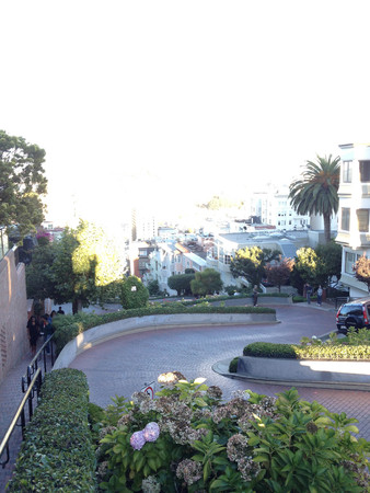 lombard street in san francisco califormia windy curvy roadの写真素材