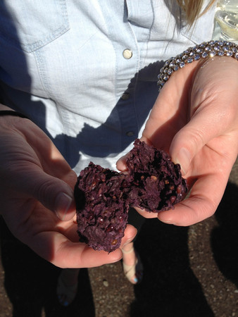 wine mash mashed grapes winery pressedの写真素材