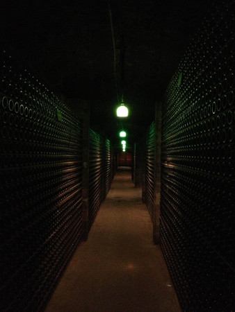 wine cellar champagne bottles sparking wine cave stackedの写真素材