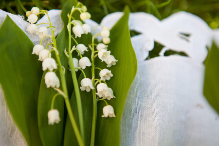 Beautiful bouquet of lily of the valley in the basket