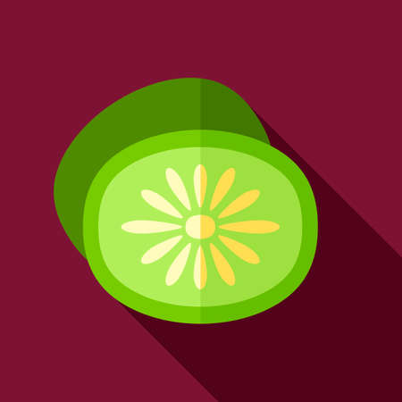 Kiwi flat icon with long shadowのイラスト素材