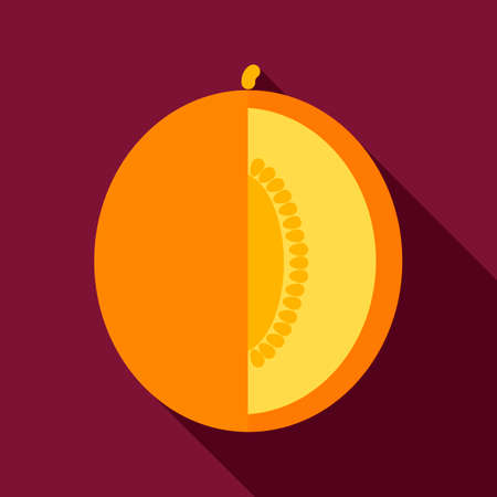Melon flat icon with long shadowのイラスト素材
