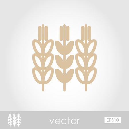Spikelets of wheat vector iconのイラスト素材