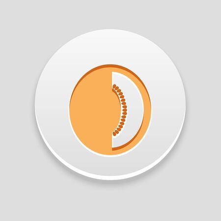 Melon icon. Fruit vector illustrationのイラスト素材