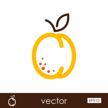 Apricot outline icon. Fruit.のイラスト素材