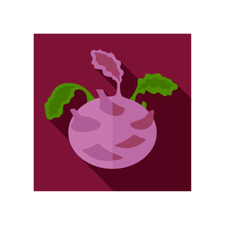 Kohlrabi flat icon. Vegetable vector illustration eps 10のイラスト素材