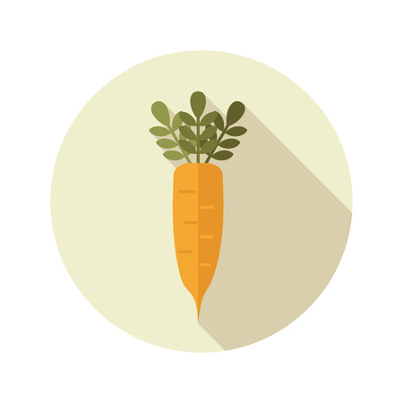 Daikon flat icon. Vegetable root vector illustrationのイラスト素材