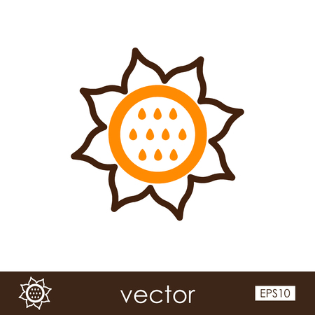 Sunflower outline icon. Vegetable vector illustration eps 10のイラスト素材