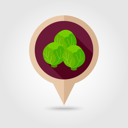 Brussels sprouts flat vector pin map icon. Map pointer. Map markers. Vegetable vector illustrationのイラスト素材