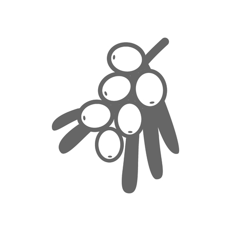 Branch of sea buckthorn berries outline icon. Berry fruit sign. Vector illustration for food apps and websitesのイラスト素材
