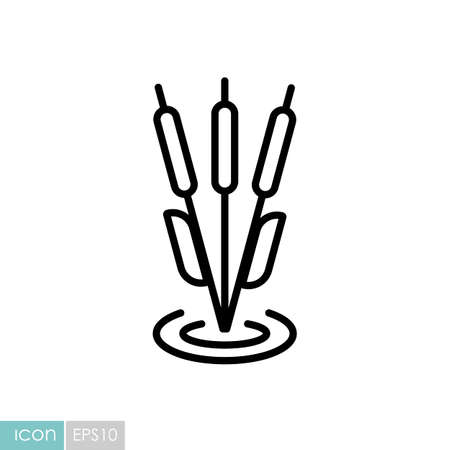 Reeds plant vector icon. Nature sign. Graph symbol for travel and tourism web site and apps designのイラスト素材
