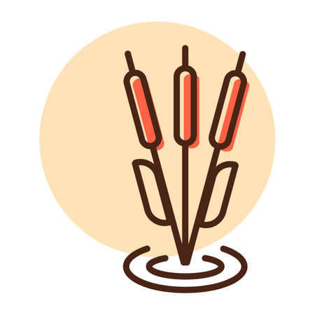 Reeds plant vector icon. Nature sign. Graph symbol for travel and tourism web site and apps design, logo, app, UIのイラスト素材