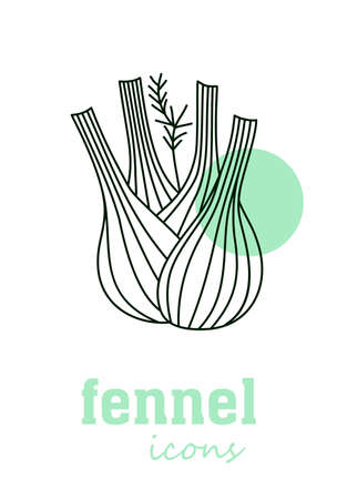 fennel vector icon. Vegetable green leaves. Greenery. Culinary herb spice for cooking, medical, gardening design. Organic product flavor ingredient for label, sign, illustrationのイラスト素材