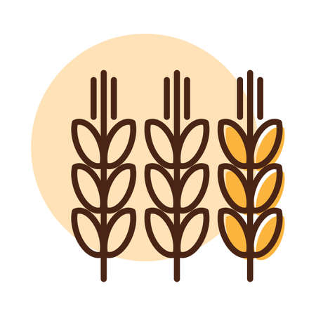 Spikelets and grains of wheat icon. agriculture sign. Graph symbol for your web site design, logo, app, UI. Vector illustration, EPS10.のイラスト素材