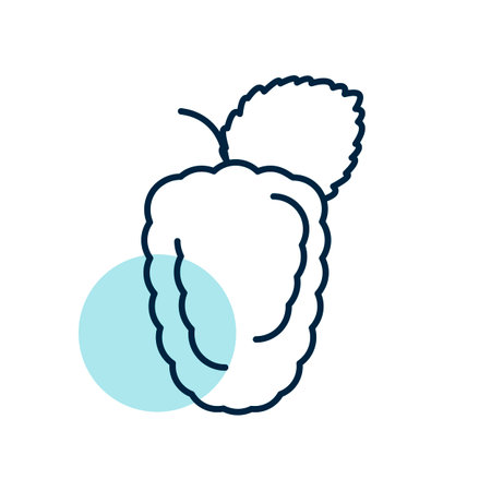 Mulberry fruit with leaves vector icon. Graph symbol for food and drinks web site, apps design, mobile apps and print media, logo, UIのイラスト素材