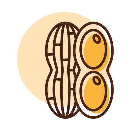 Peanut isolated design vector icon. vegetable sign. Graph symbol for food and drinks web site, apps design, mobile apps and print media, logo, UIのイラスト素材