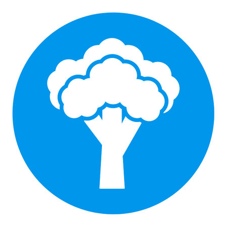 Broccoli isolated design vector glyph icon. vegetable sign. Graph symbol for food and drinks web site, apps design, mobile apps and print media, logo, UIのイラスト素材